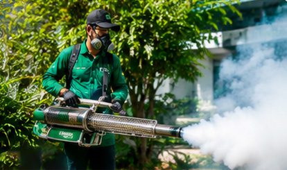 Termonebulización para control de plagas